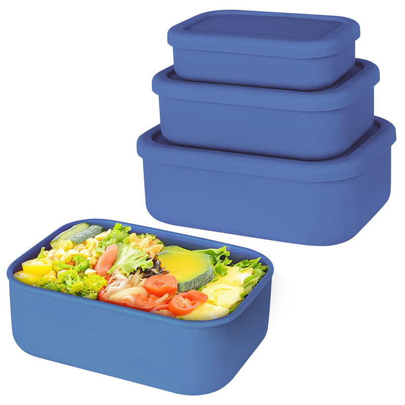 Auslaufsichere Bento-Lunchbox, – Meal Prep Kitchen Bewertung und Preis