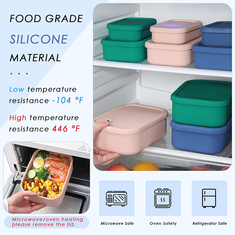 Auslaufsichere Bento-Lunchbox, – Meal Prep Kitchen Bewertung und Preis