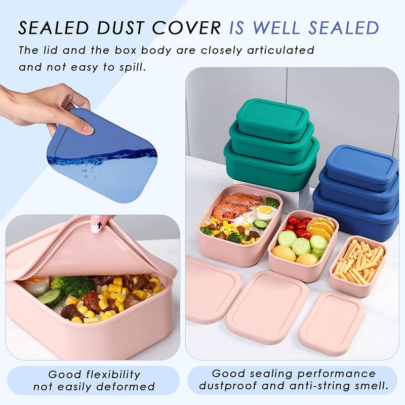 Auslaufsichere Bento-Lunchbox, – Meal Prep Kitchen Bewertung und Preis
